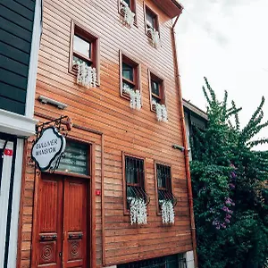 Gulliver Mansion 2*, Istanbul Türkei